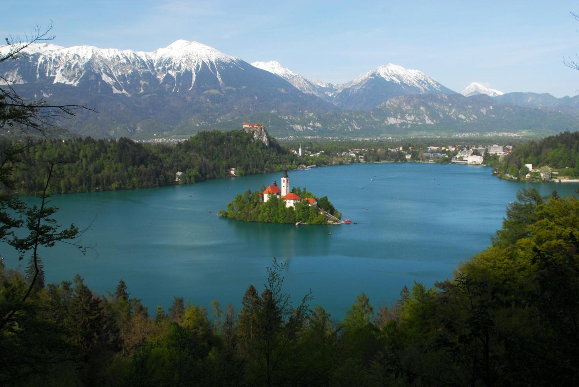 Fantastic Apartment Brglez Bohinjska Bela Esterno foto